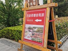 -济宁市太白湖旅游景区