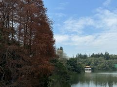 -深圳仙湖植物园