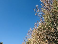 -南诏风情岛
