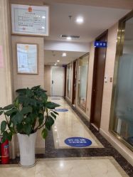 -碧莲盛·不剃发植发