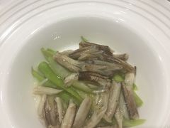 -新光酒家·河豚·海鲜·蟹料理(浦东店)