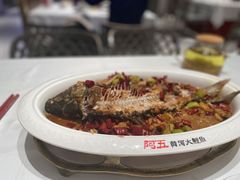 煎烧黄河鲤鱼-阿五黄河大鲤鱼(海尚店)