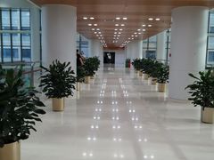 -首都医科大学附属北京同仁医院(南区)