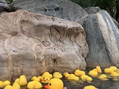 -湖泉半山温泉