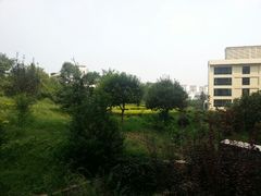 android_upload_pic-泰安东尊华美达广场酒店(泰山景区店)