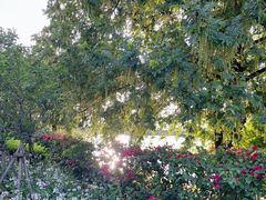 -福建鲤鱼洲酒店