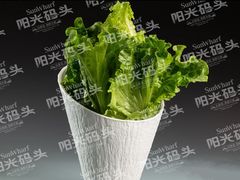 生菜-阳光码头海鲜火锅(世纪大道店)