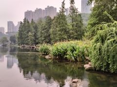 -重庆彩云湖湿地公园