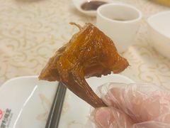 -百利鸽王(紫薇路店)