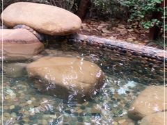 -天目湖涵田半山温泉水乐园