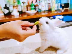 -大象厨房(重庆道店)