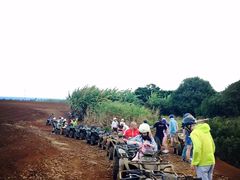 -中青旅遨游旅行旗舰店