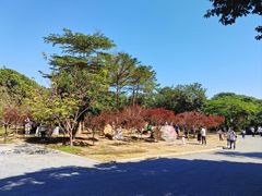 -广州市帽峰山景区