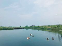 -鄱阳湖国家湿地公园