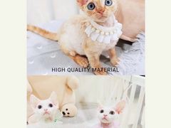 -十年猫舍·猫咪专门店(普陀店)