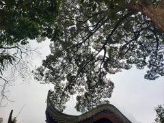 -道教老君洞
