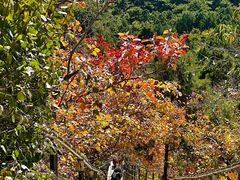 -香山公园