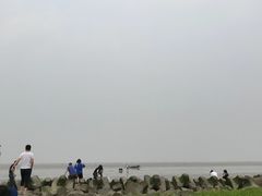 -南汇嘴观海公园