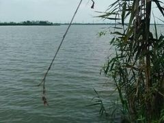 -漕湖湿地公园