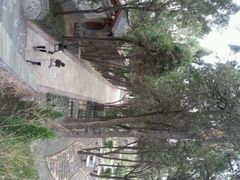 android_upload_pic-蓬莱阁景区