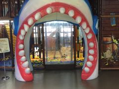 -蒙特利亲子乐园