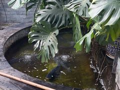 -燕北云山·农家菜·灶台鱼(密云溪翁庄店)