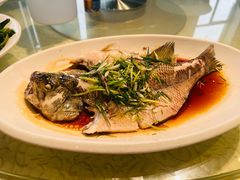 清蒸鲈鱼-禄源公·老莞诚饭店