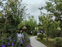 -上海长兴岛郊野公园