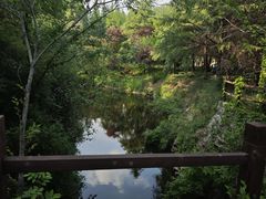 -日照海滨国家森林公园