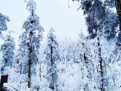 -瓦屋山景区