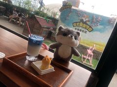 -柴犬高等学院·狗咖·柴犬售卖·宠物训练