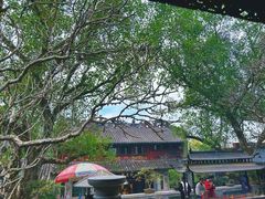 -国恩寺