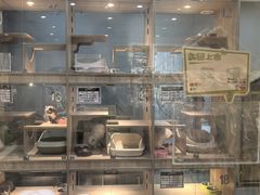 -BABIT巴比特宠物(MOMOPARK店)