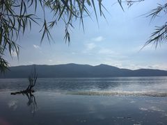 -才村湿地公园
