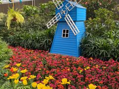 -南宫五洲植物乐园