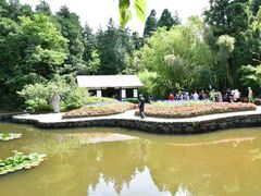 -庐山风景区花径公园