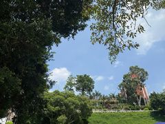 -鼓浪屿钢琴博物馆