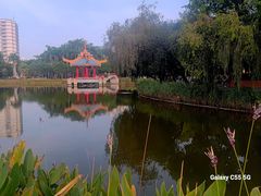 -金砂公园