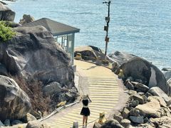 -广东惠东海龟国家级自然保护区
