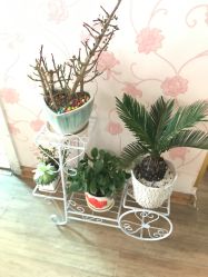 -本真坊美容美体沙龙