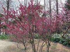 -南通博物苑-崇川人民公园