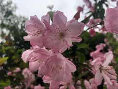 -同济大学(嘉定校区)