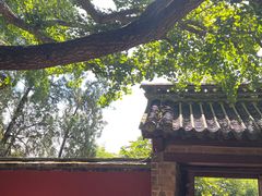-浮来山风景区