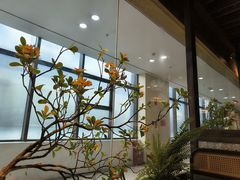 -老凯俚酸汤鱼(鸿通城店)