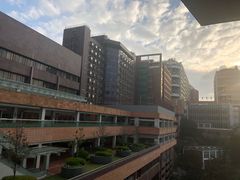 -香港大学