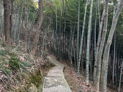 -上海佘山国家森林公园天马山园