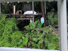 -广州长隆野生动物世界