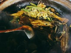 -霞姐屯昌枫木香草鸭店(海螺店)