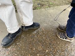 -胜丰草莓采摘园