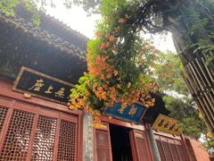 -洛阳白马寺